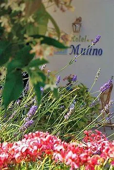 Al Mulino Hotel 3*