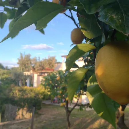 Al Mulino 3* Anacapri (Isola di Capri)